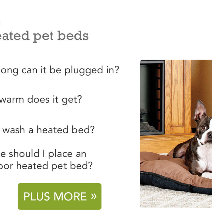 Common Questions About Heated Pet Beds