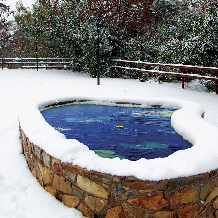 Avoid frozen stock tanks and garden ponds with these tips and tricks. Here's how to winterize your pond or stock tank.