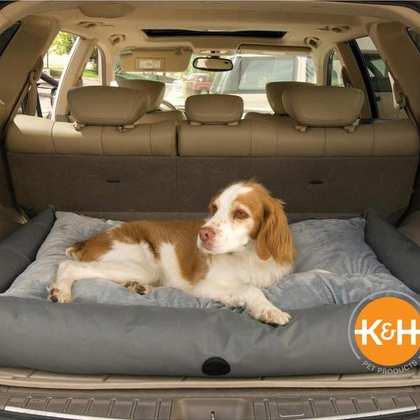 Dogs can get fur all over your car if you're not prepared ahead of time.