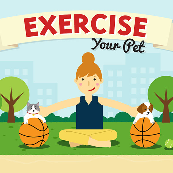 Exercise your Pet