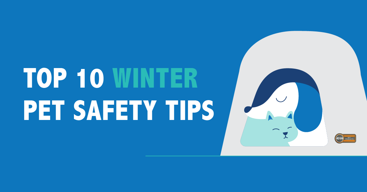 Winter safety tips for dogs and cats.