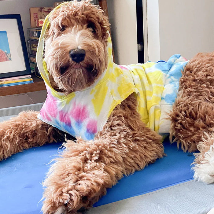 Keep your dog cool this summer with a cooling mat or bed.
