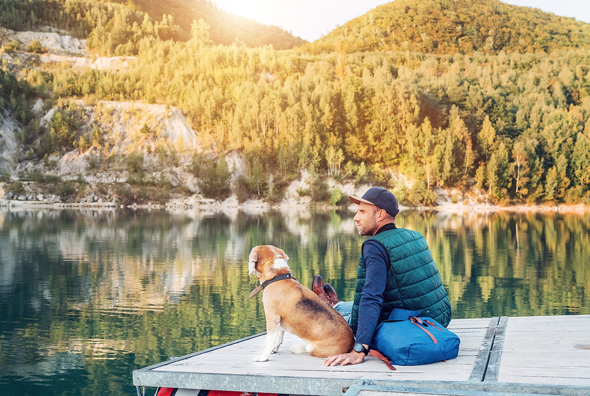 Make sure you've got options for dog-friendly parks and restaurants at your final vacation destination.