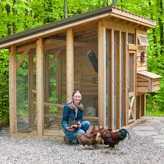 How to build your own chicken coop