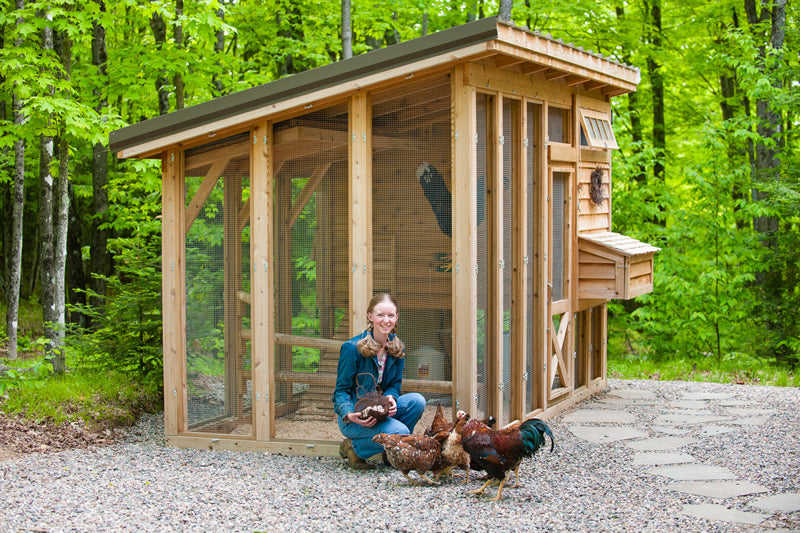 How to build your own chicken coop