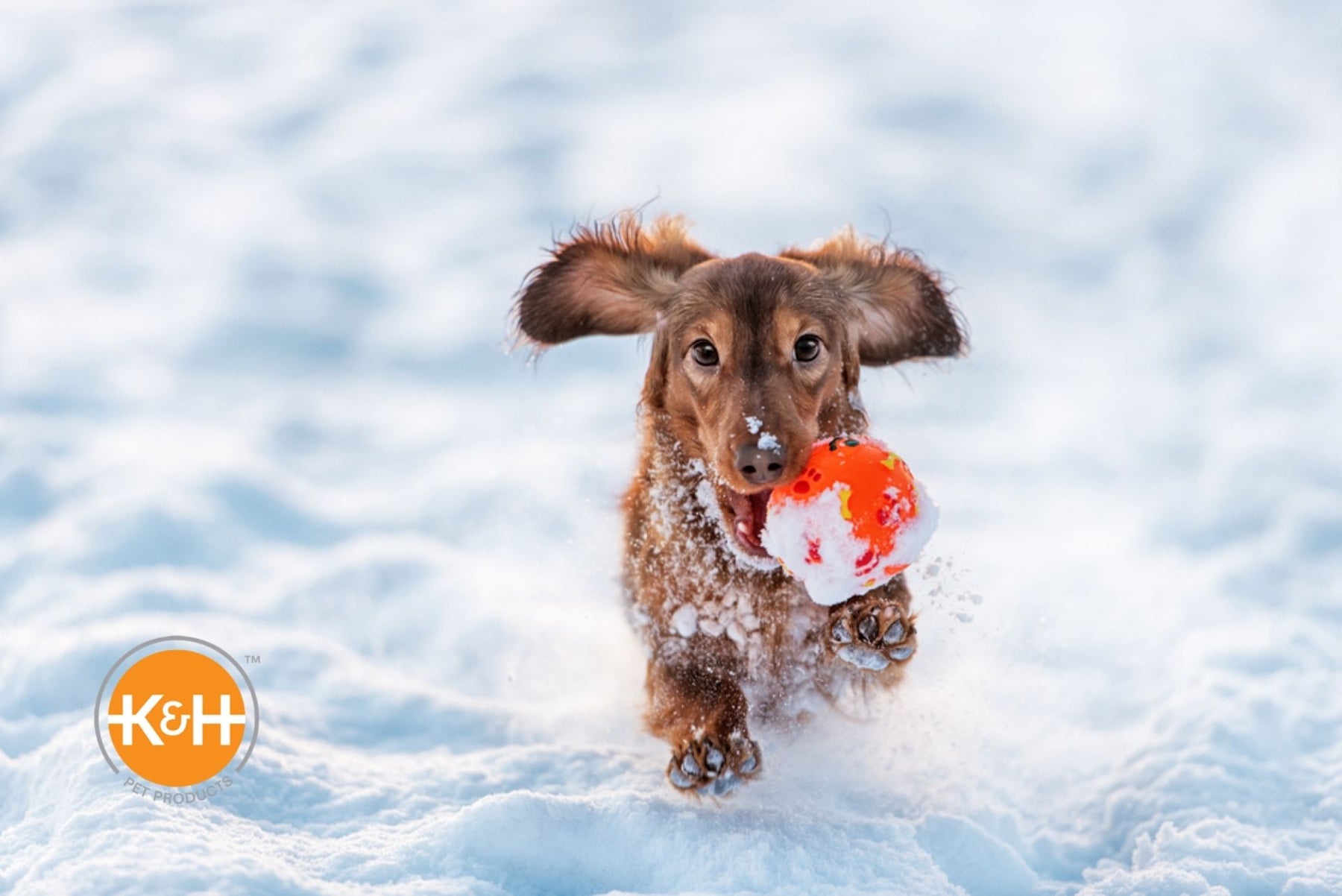 You can do many things to keep your dog warm outside.