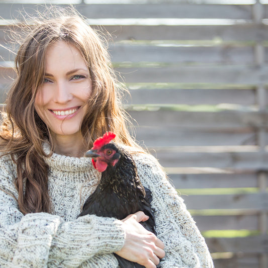 How to Raise Backyard Chickens