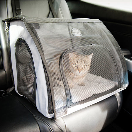 How to Travel with a Cat in a Car