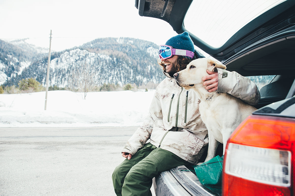 Being prepared for travel during cold weather is essential to the health and happiness of you and your pet.