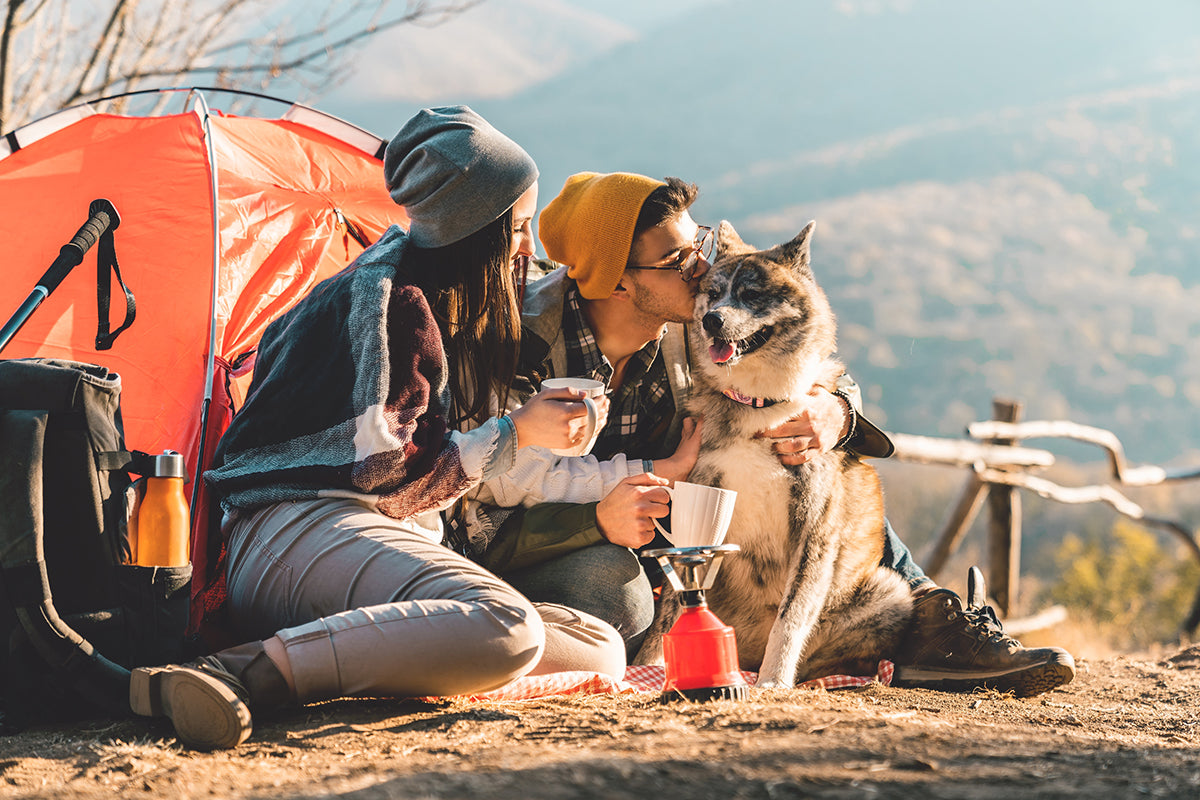 Selecting the best dog bed for camping is essential for a successful and enjoyable camping adventure.