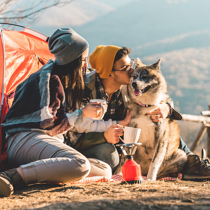 Selecting the best dog bed for camping is essential for a successful and enjoyable camping adventure.