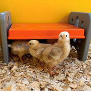 chick_brooder