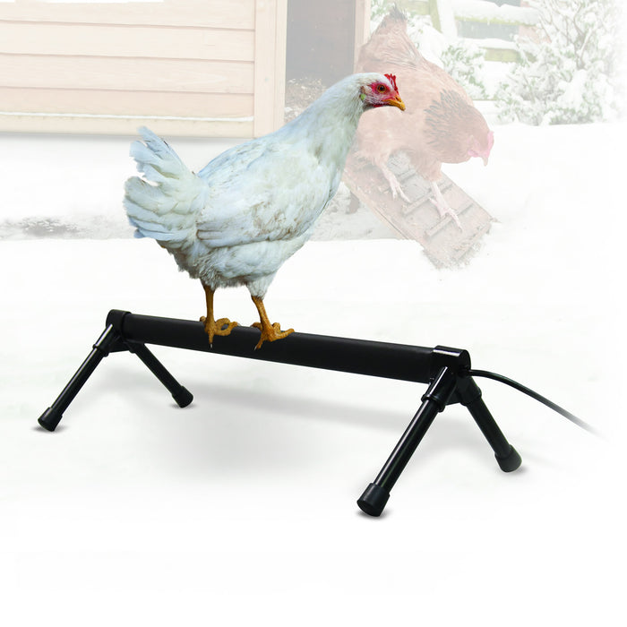 Thermo-Chicken Perch