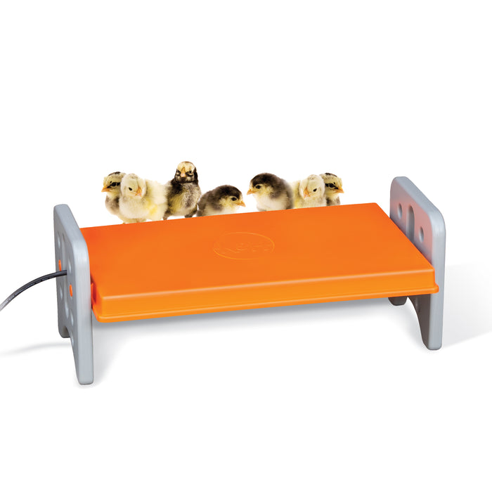 K&H Thermo-Poultry Brooder