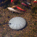 Thermo-Pond™ Perfect Climate Submersible Pond De-Icer