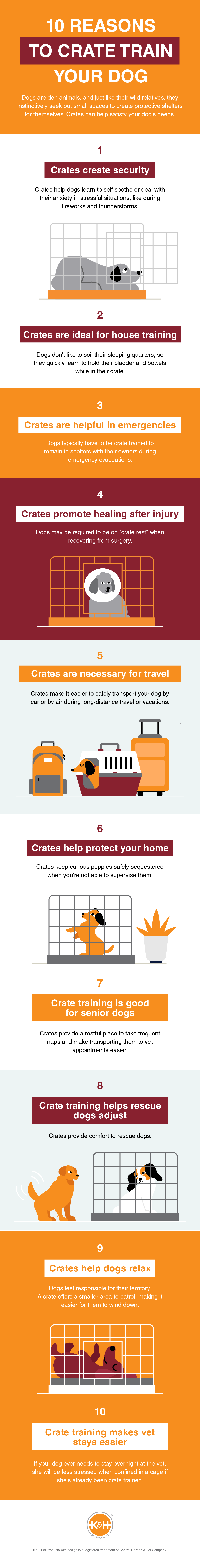 10 Reasons to Crate Train Your Dog (Infographic)