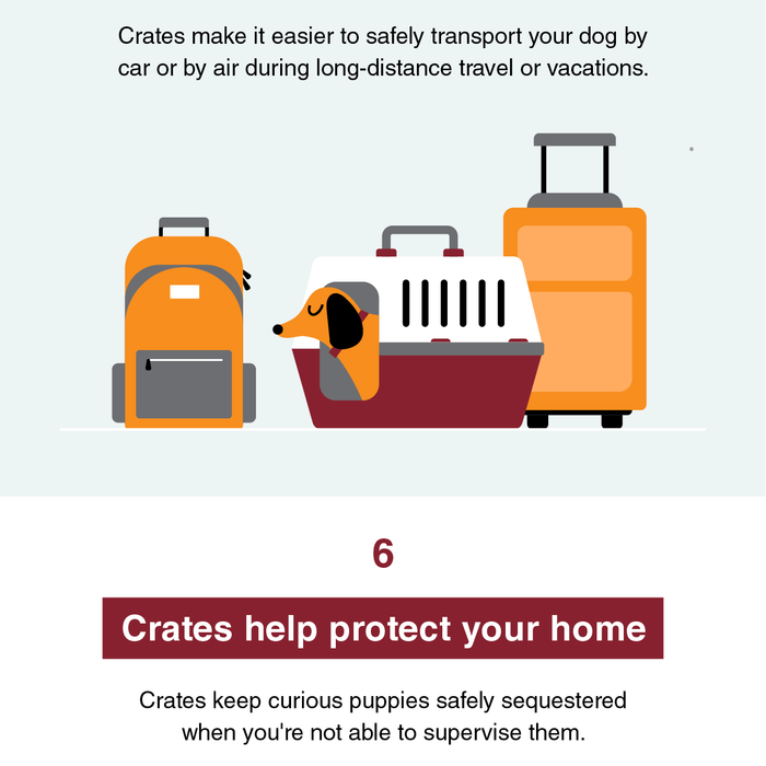 10 Reasons to Crate Train Your Dog (Infographic)