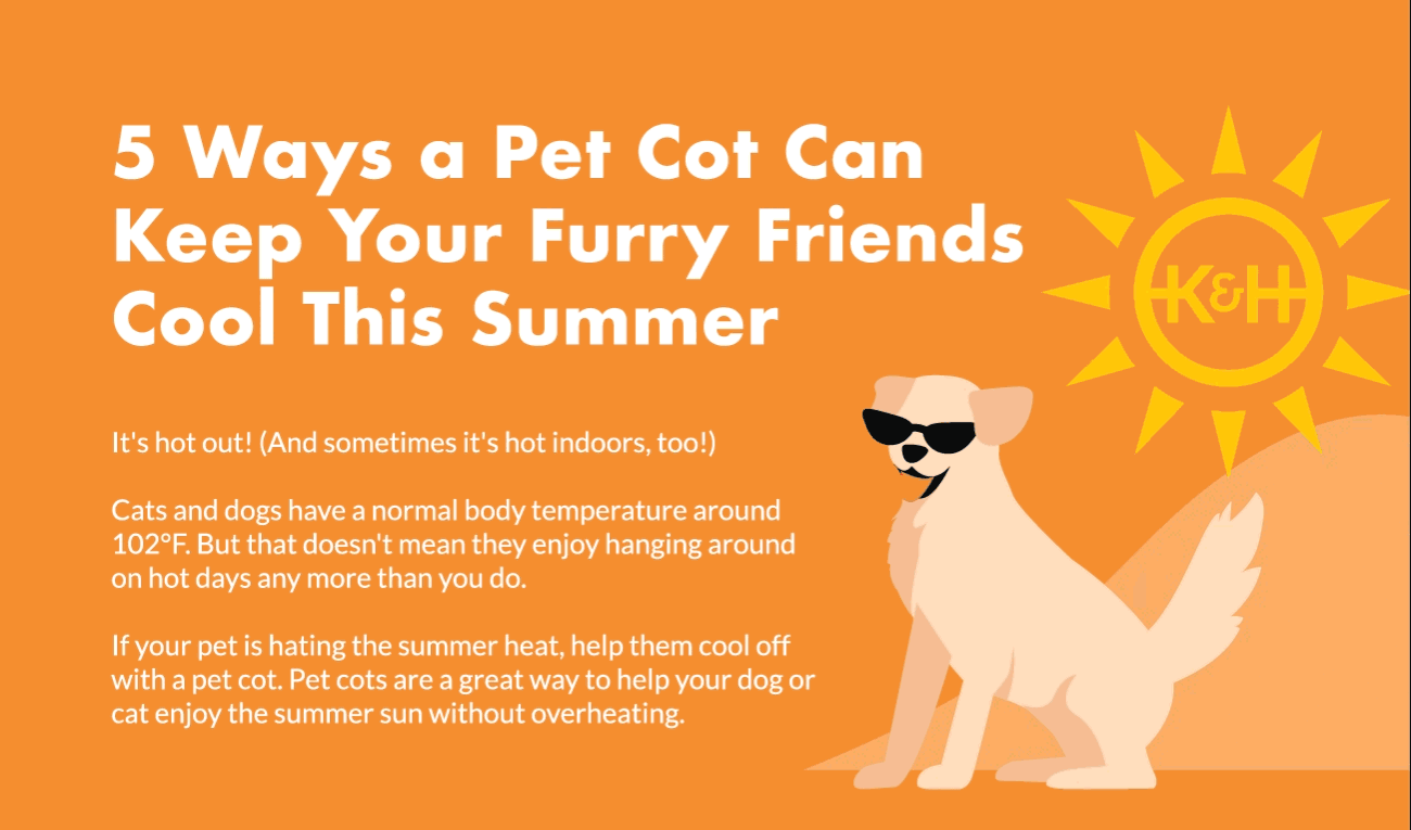 5 Ways A Pet Cot Can Keep Your Furry Friends Cool This Summer