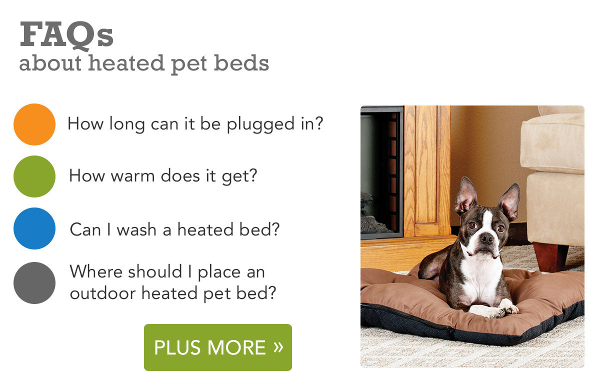 Common Questions About Heated Pet Beds