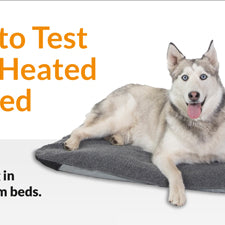 How to test your heated pet bed