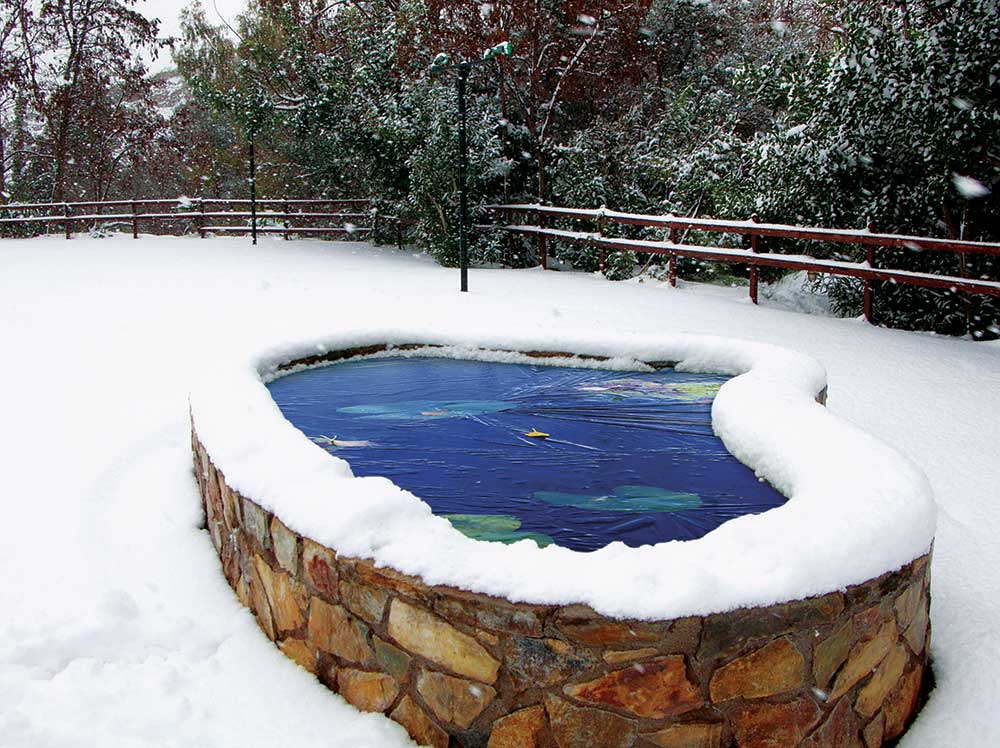 How to Winterize a Garden Pond Tips