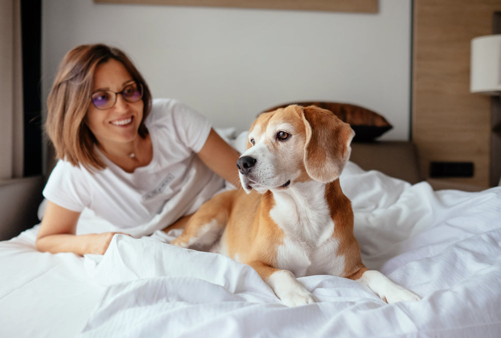 It just takes a little planning ahead in order to have a fun hotel or vacation rental stay with your dog.
