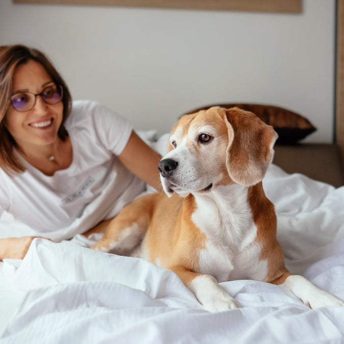 It just takes a little planning ahead in order to have a fun hotel or vacation rental stay with your dog.