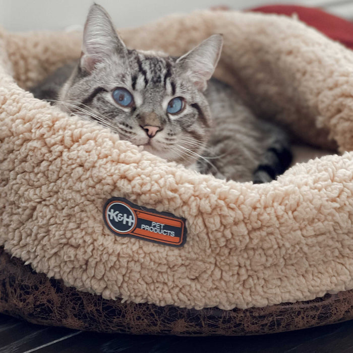 Knowing how and when to wash your cat's bed is important for his overall health and cleanliness.