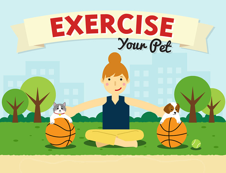 Exercise your Pet