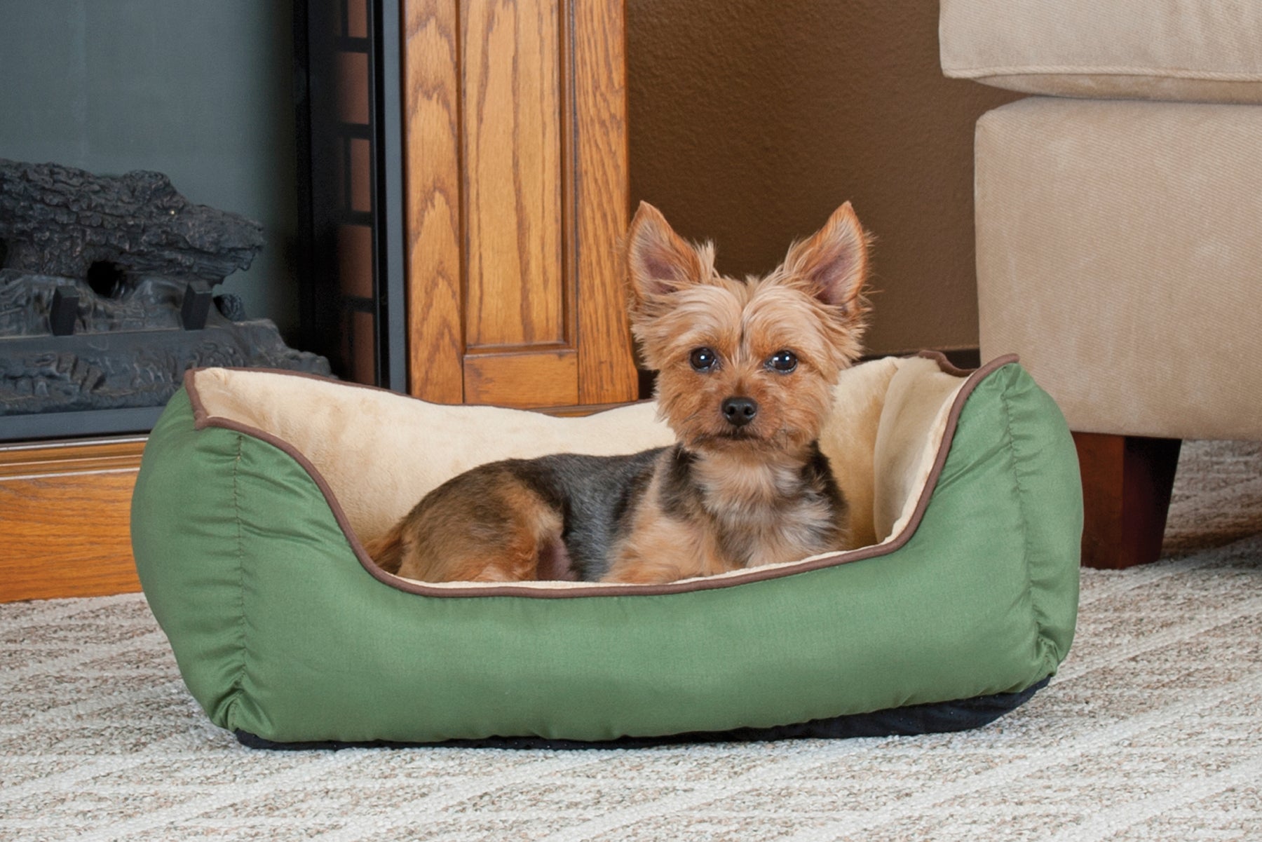 Here's Why Your Dog Digs In Her Bed Before Lying Down - DodoWell - The Dodo