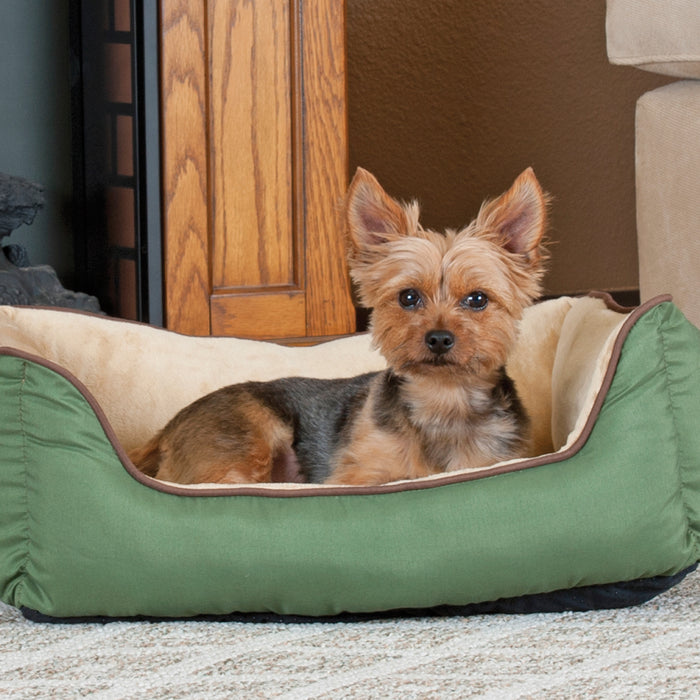 Dogs usually scratch their beds out of instinct.