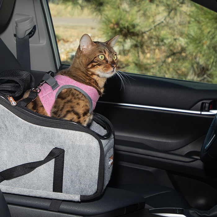 Wondering why your cat is panting in the car? Could it be motion sickness? Stress? Learn why cats pant and how to help.