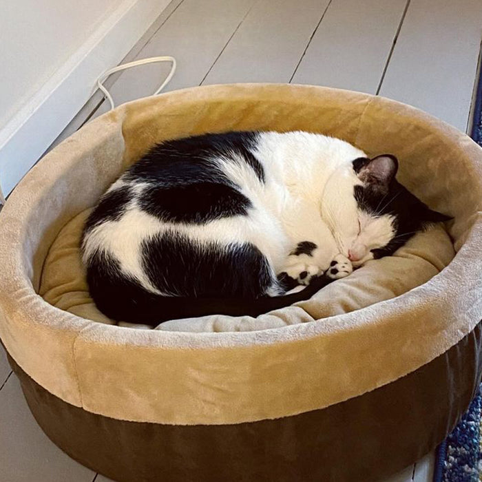 Heated cat beds may be safe to leave plugged in — if the bed follows a few requirements. 