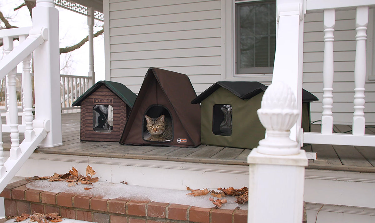 Outdoor Cat Care: Are heated houses safe for feral/stray cats?