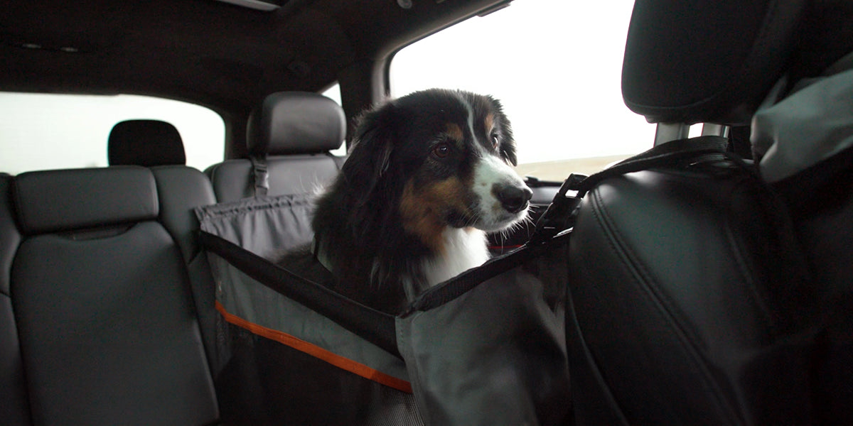 Can dogs sit in the front seat K H Pet Products