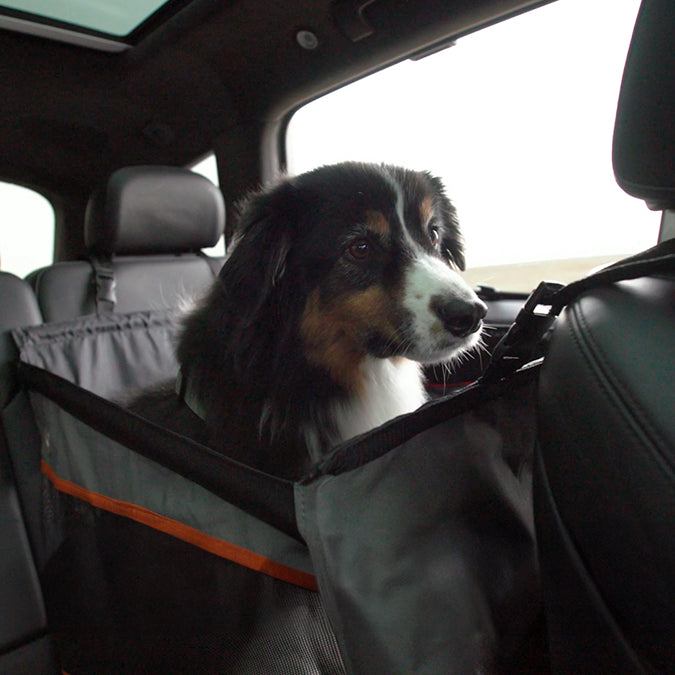 Your dog shouldn't ride in the front seat. Keep your pup safe with a car seat designed just him. We've got a few to consider.