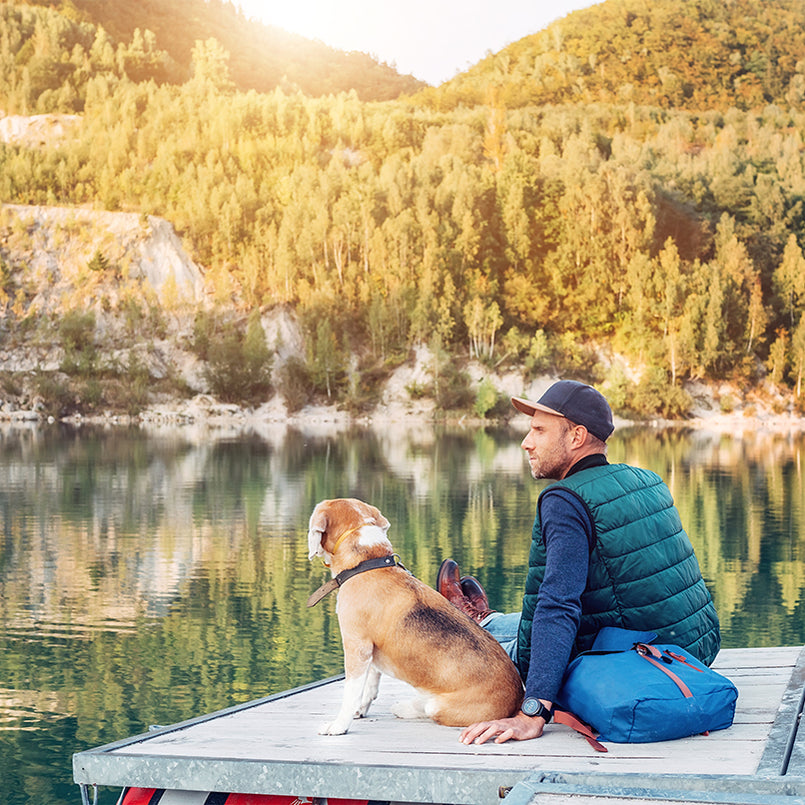 Dog Friendly Vacation Ideas In California