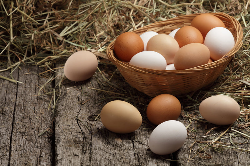How often do chickens lay eggs?
