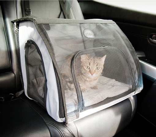 How to Travel with a Cat in a Car