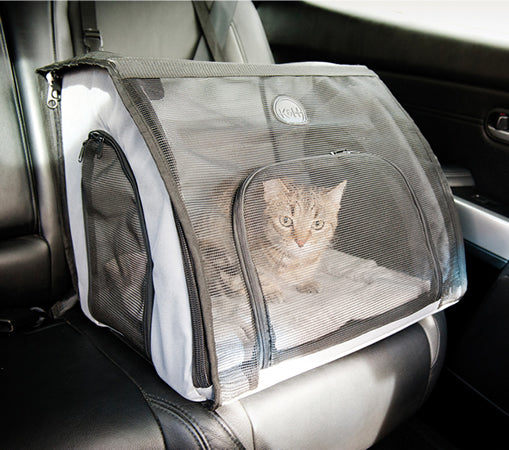 https://khpet.com/cdn/shop/articles/how-to-travel-with-a-cat-in-a-car.3_800x800.jpg?v=1593020012