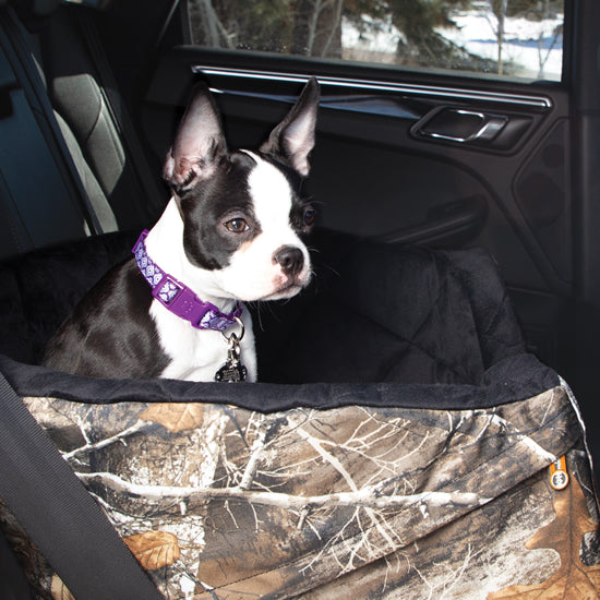 How to Travel with a Dog in a Car