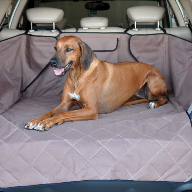 What Is the Best Way to Get Dog Hair Out of Car Carpet?