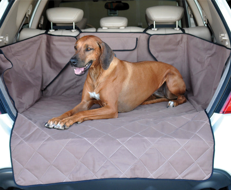 Where Do You Put Your Dog in a SUV? Safe & Comfy Tips
