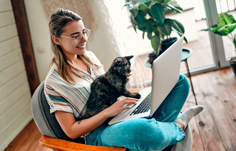 Working from Home with Pets