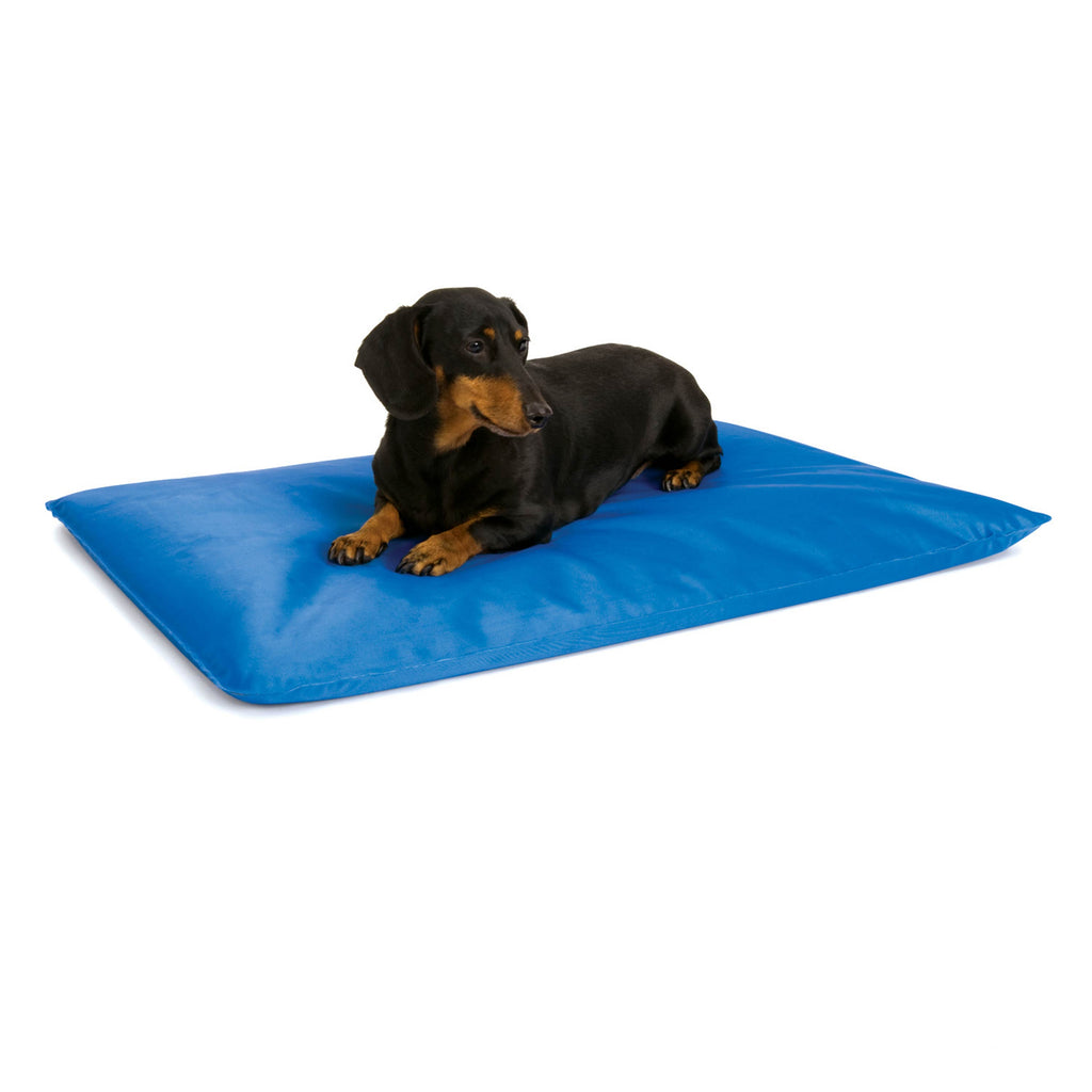 cooling pillow for dogs