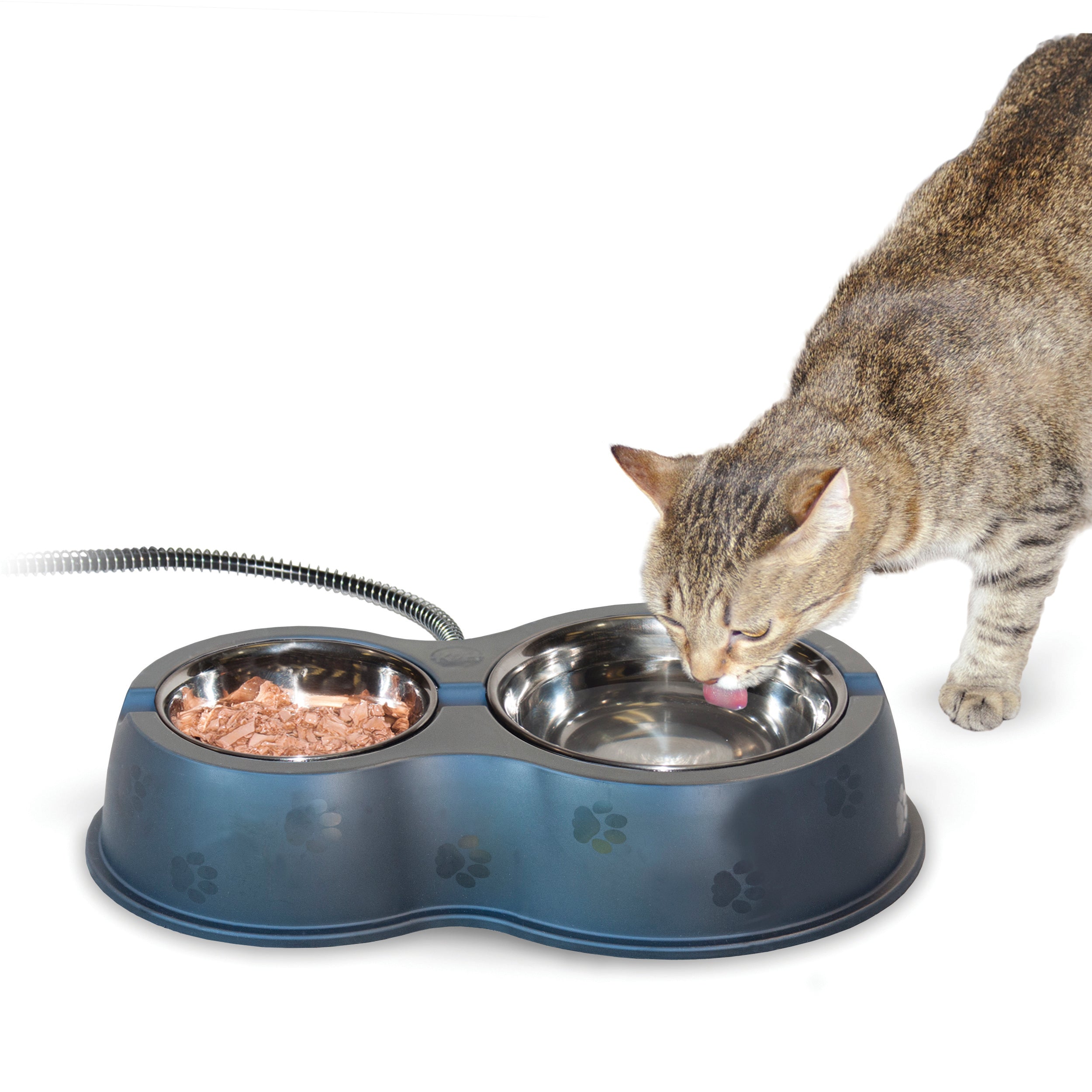 Pet Food Mouse Proof Cat Food Bowl K&H Thermo-Kitty Cafe — K&H Pet