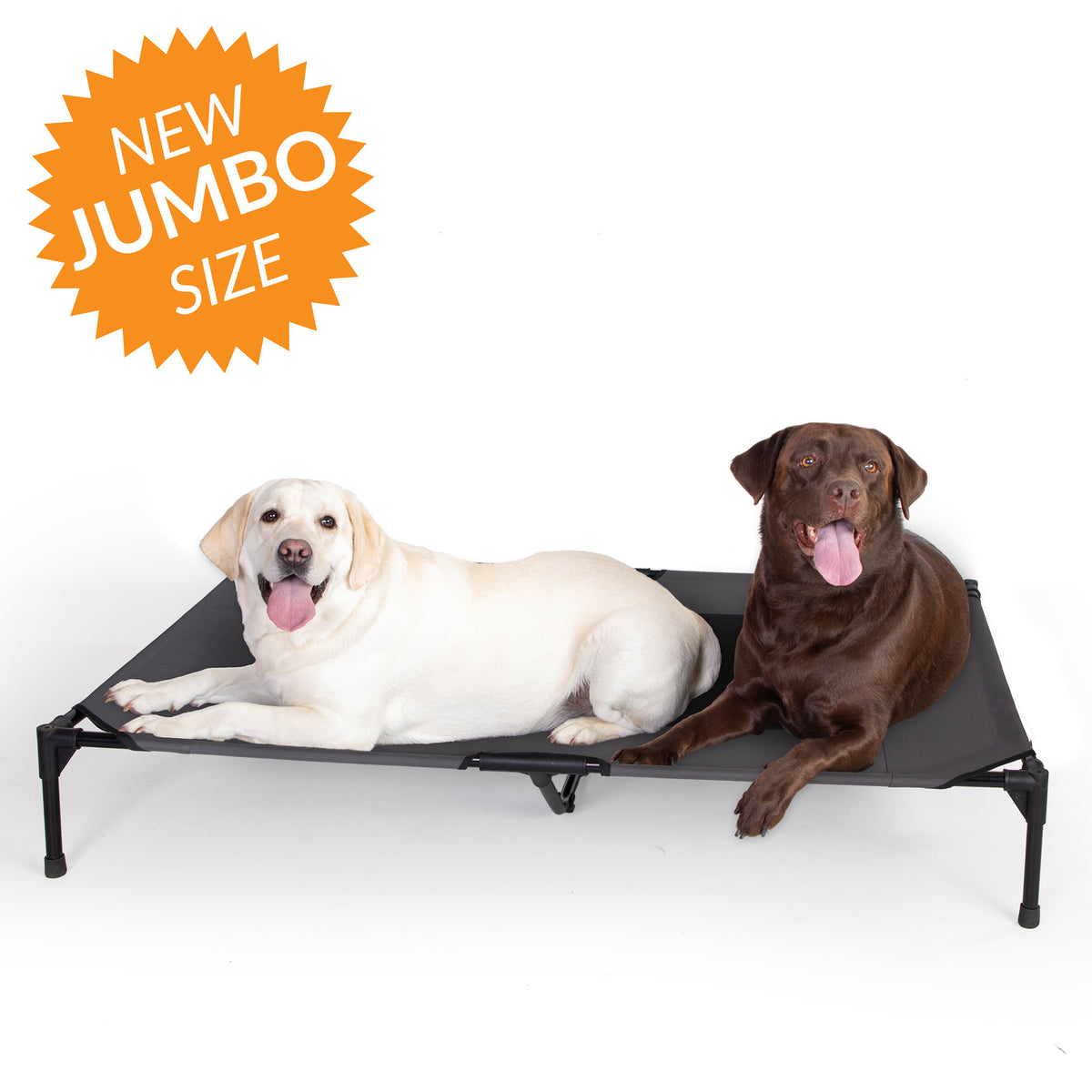 PET 渐浓秋意 ダイカット加工 7cm×5m 100cm/loop Amazon.com : Acrimet Cooling Elevated Pet Dog Bed, Washable