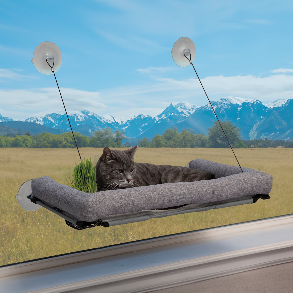 K&H EZ Mount Deluxe Bolstered Window Kitty Sill Cat Perch with Cat Gra — K&H Pet Products