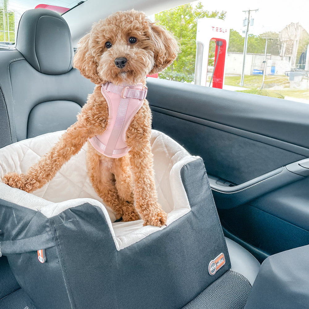 K&H Bucket Booster® Elevated Dog Car Seat — K&H Pet Products