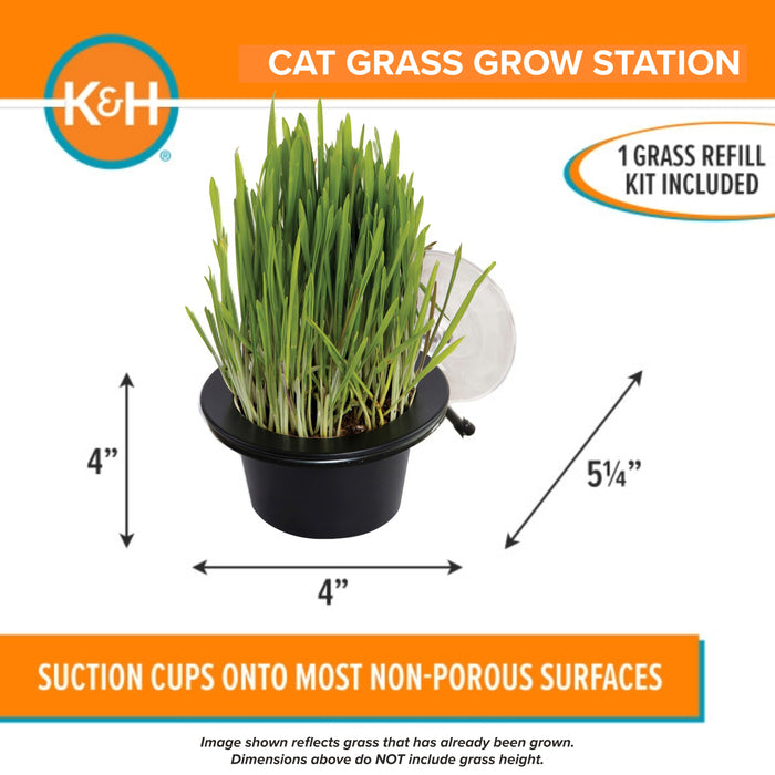 K&H EZ Mount Window Cat Grass Grow Station